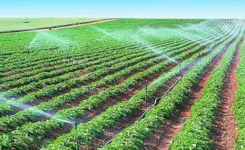 大骚B视频农田高 效节水灌溉